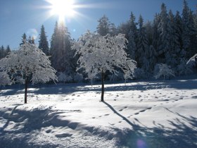 Naturpark Hohe Wand, &copy; Wiener Alpen in Nieder&ouml;sterreich - Schneeberg Hohe Wand