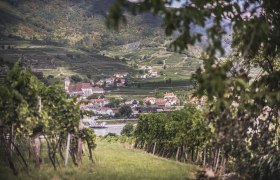 Walk in Rossatz, © Daniela Matejschek