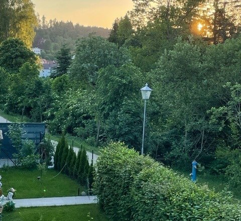 View, © Nicole Auer