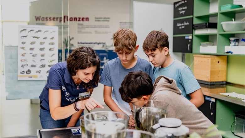 A woman shows three boys something in a glass container in a laboratory.