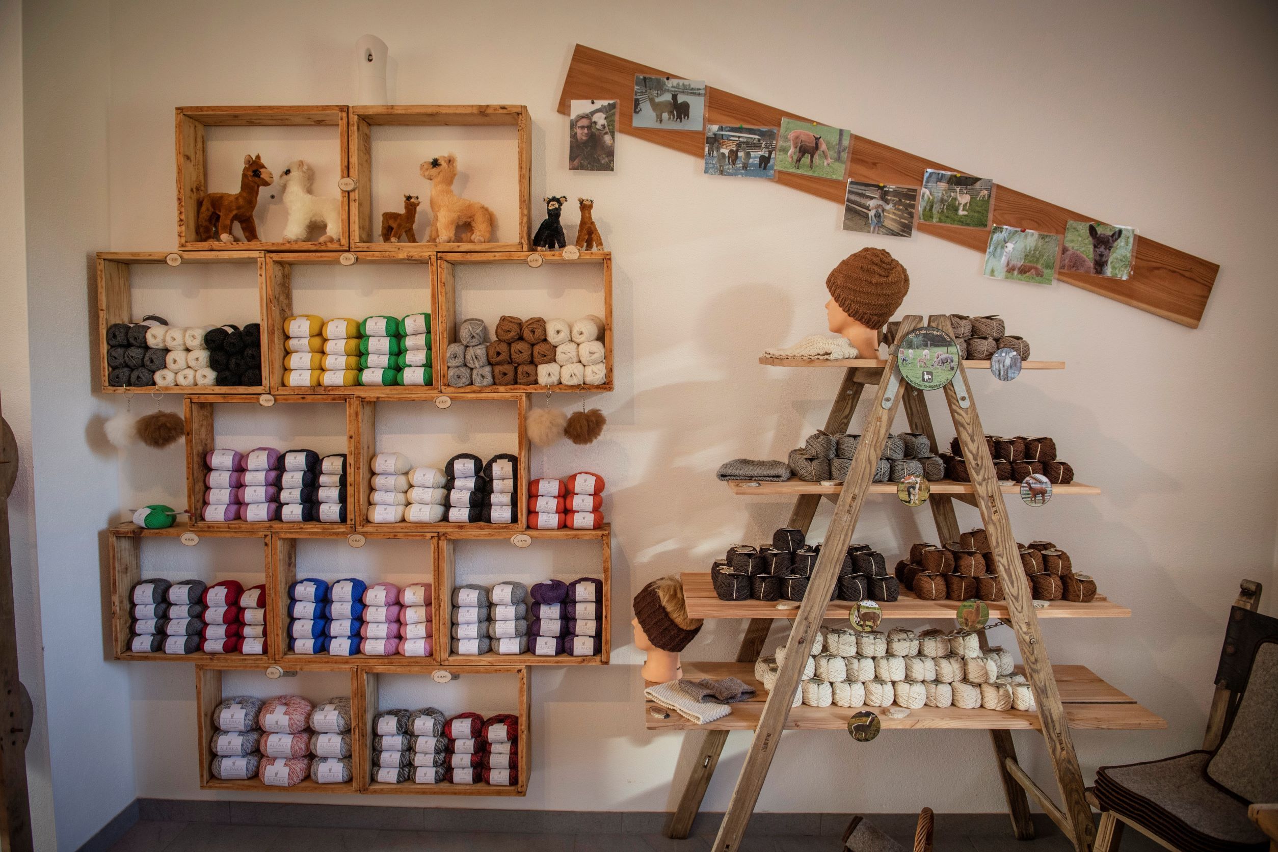 Interior view of a farm store with alpaca wool and knitwear.
