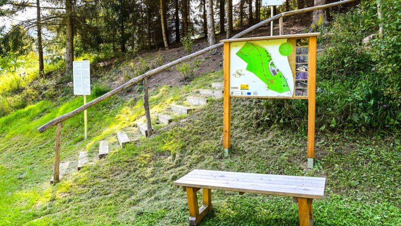 Healing forest Senftenberg, © Nuhr Medical Center