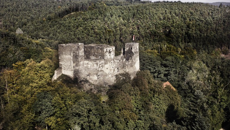 Aerial view of the Kronsegg ruins in the middle of a dense forest.