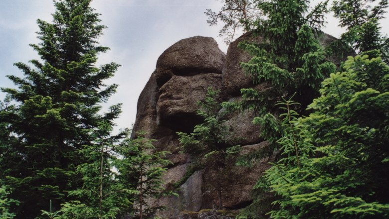 A large rock that resembles a face, surrounded by trees.