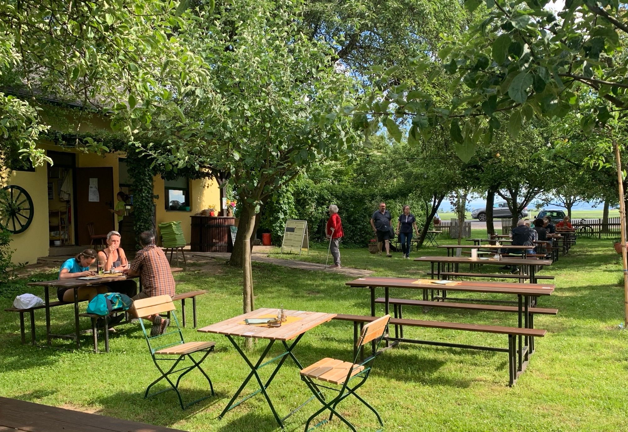 A shaded outdoor dining area with tables and benches under fruit trees.