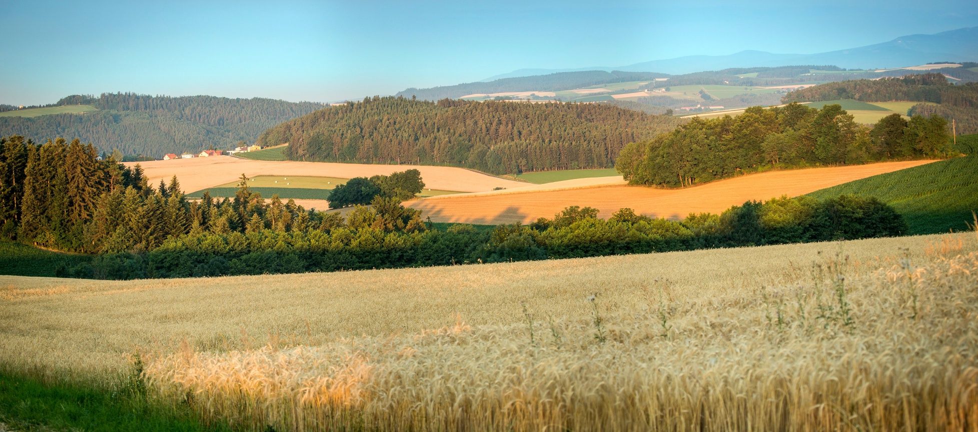 Beistein near Wiesmath