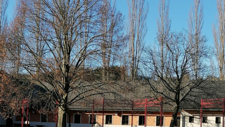 public area, &copy; Pielachtal Camping