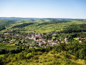 Wanderweg zur Kamptalwarte am Heiligenstein, &copy; POV
