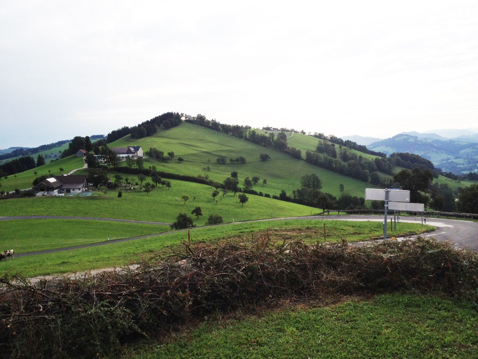 Landscape with green hills, farmhouses and a winding road.