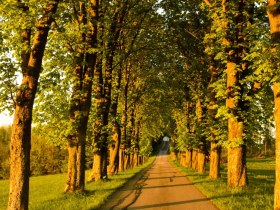 Auch im Herbst zu empfehlen, &copy; VSE, Haslinger Christina