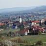 View of Rohrendorf with church and vineyards in the foreground.