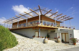 Modern building with terrace and pergola, surrounded by plants and wine barrels, under a blue sky.