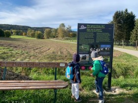 Hoidaweg, &copy; Unknown