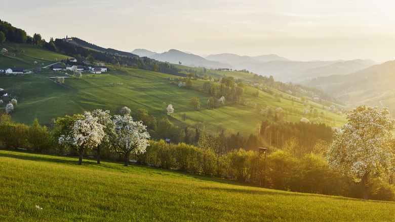 Sonntagberg, © Michael Liebert