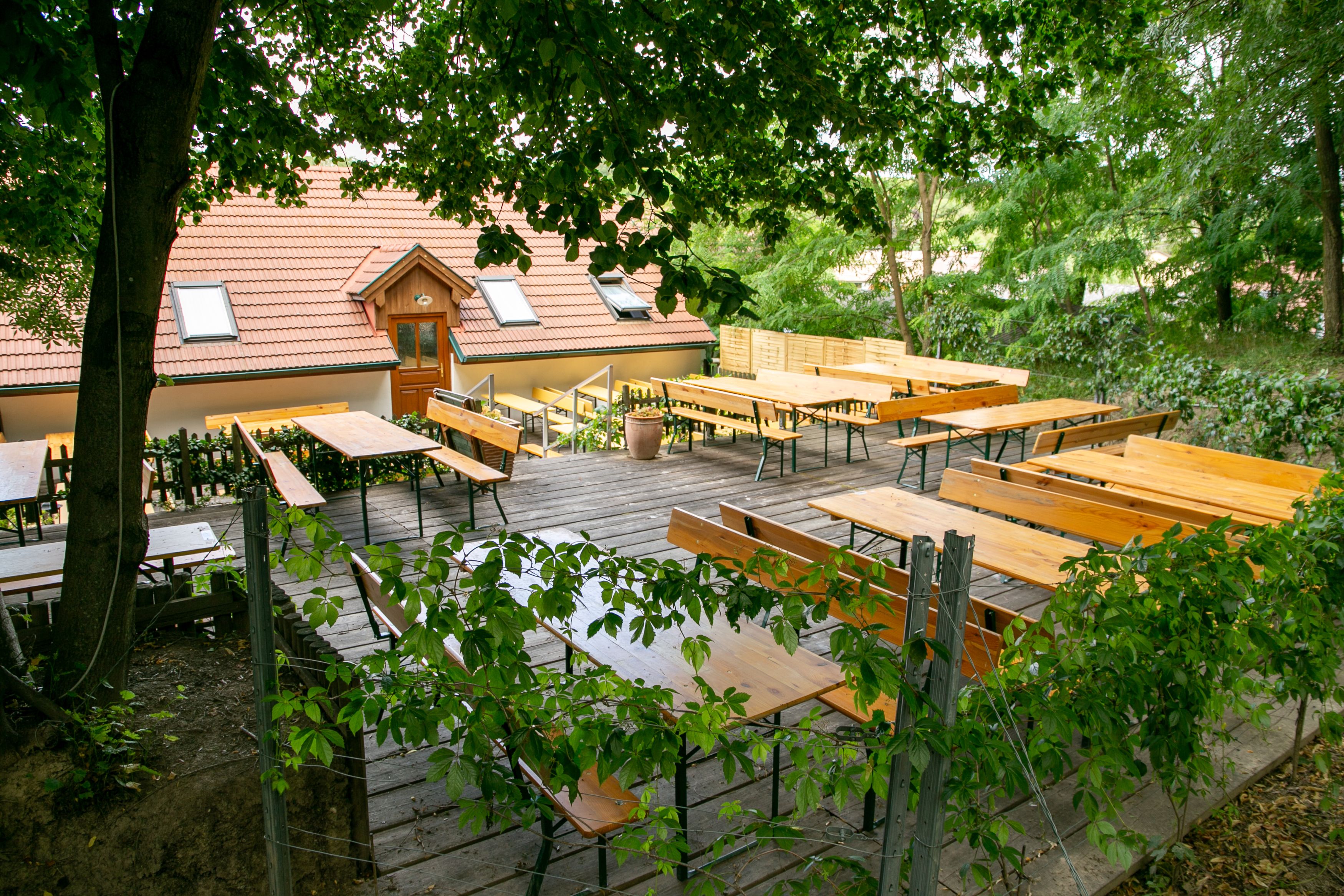 An empty beer garden with wooden benches and tables, surrounded by trees and a building with a red roof in the background.