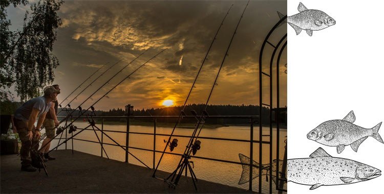 reservoir fishing, © Gut Ottenstein