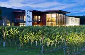 Leo Aumann winery at dusk with illuminated building and vines in the foreground.