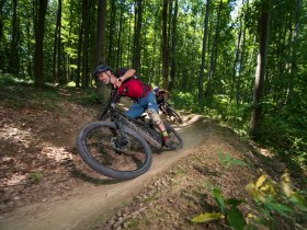 Flow Line, &copy; Wienerwald Tourismus GmbH / Milo&scaron; &Scaron;t&aacute;fek