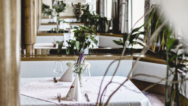 A set table in a cozy room with plants and a lamp above it.