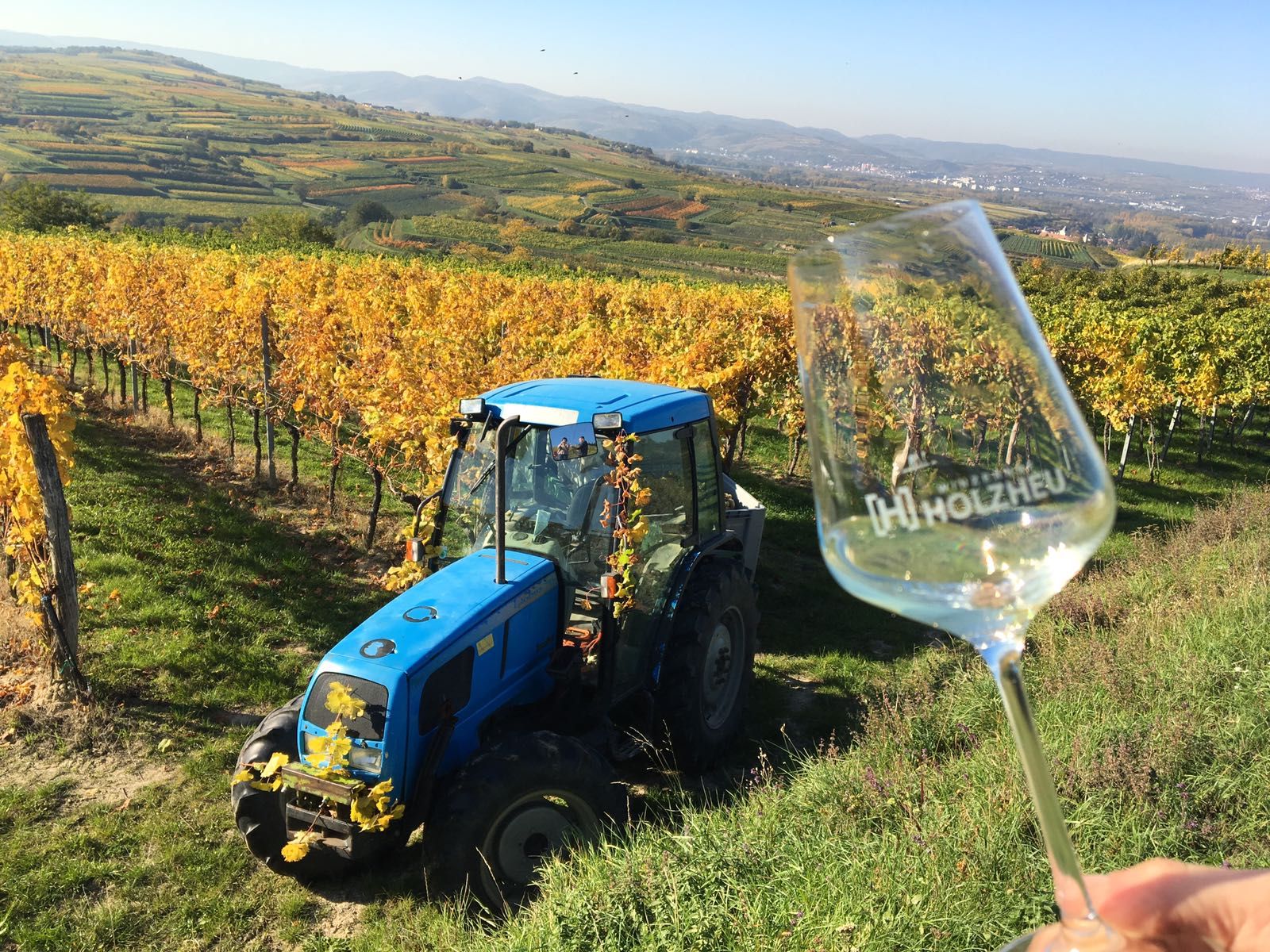 Tractor in the vineyard