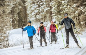 Four people cross-country skiing on a snow-covered trail in the forest.