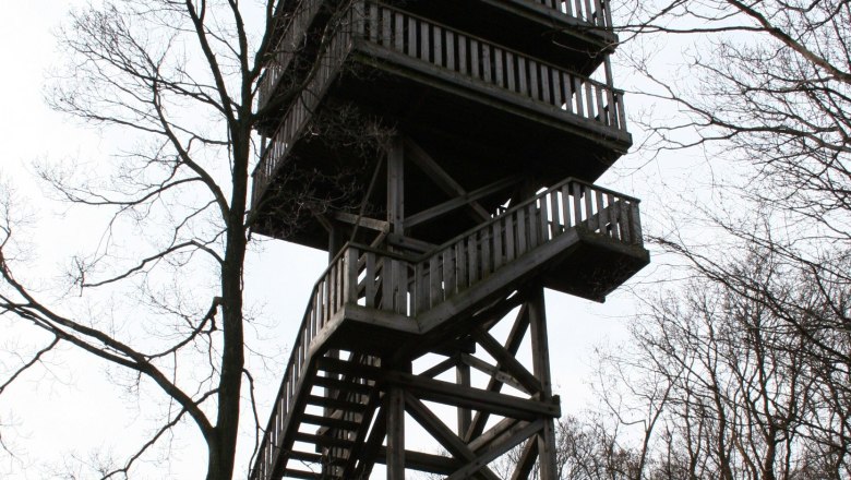 Wooden lookout tower in the forest with bare trees.