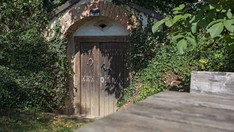 Cellar in Spillern, © LEADER-Region Weinviertel / Lahofer