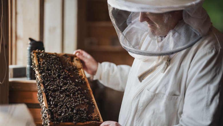 The Zeidler, &copy; Moststra&szlig;e, dochbodnliacht