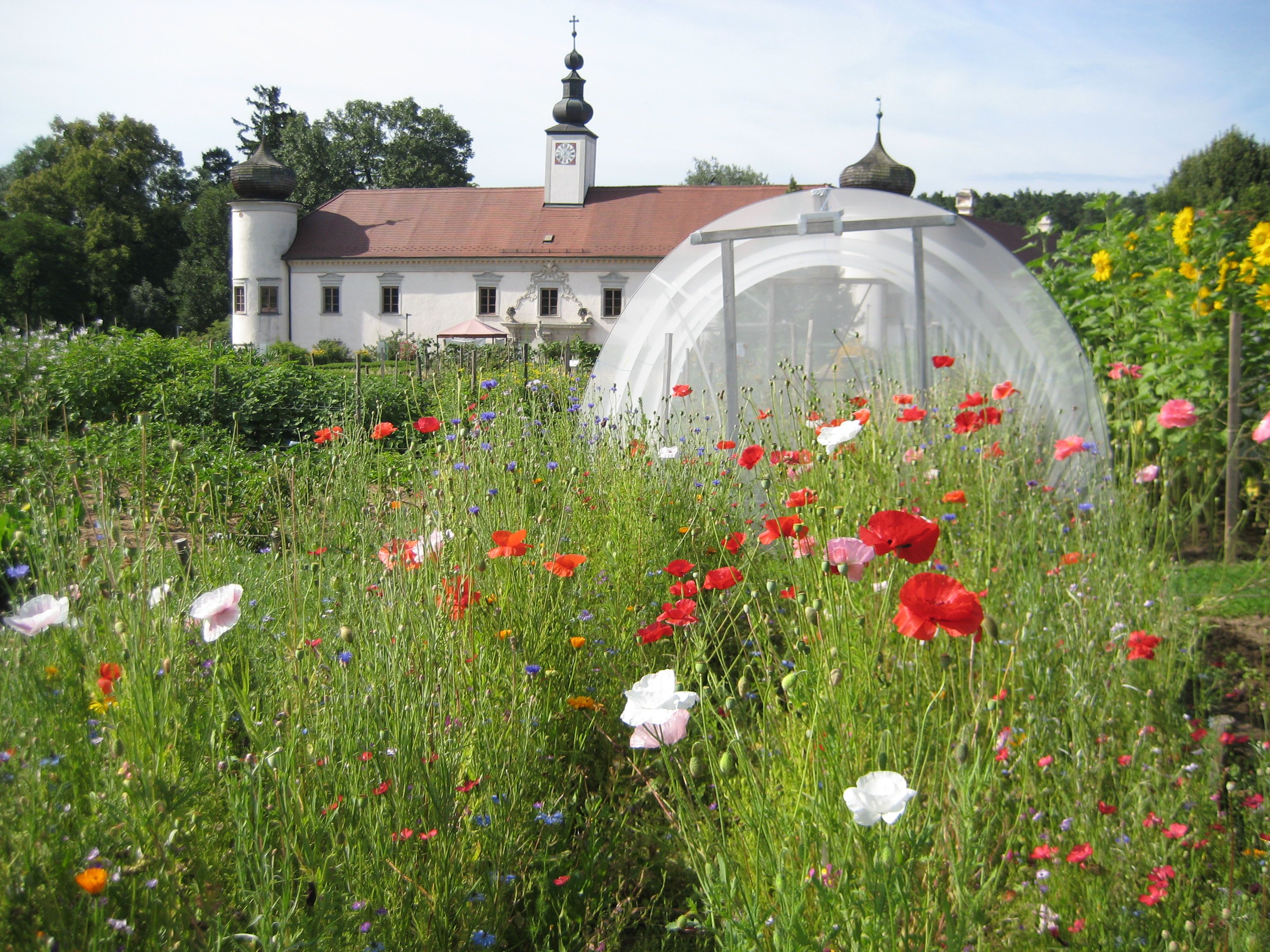 Flower meadow in front of a historic building with onion domes.