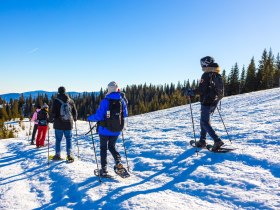 Schneeschuhwandern auf der Rax, © Wiener Alpen in Niederösterreich - Semmering Rax