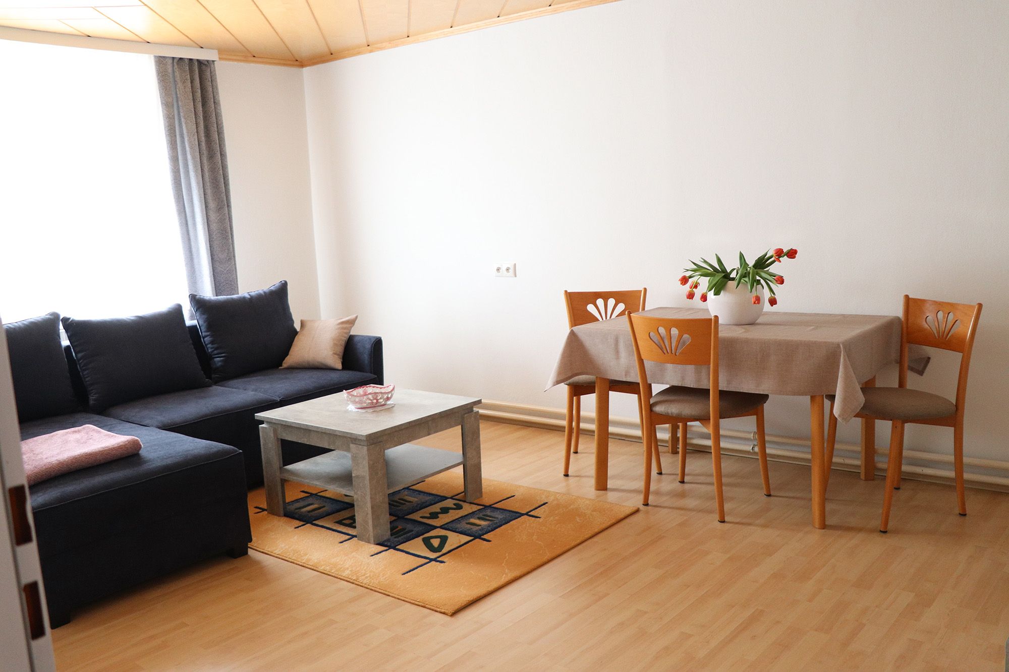 Living/dining room