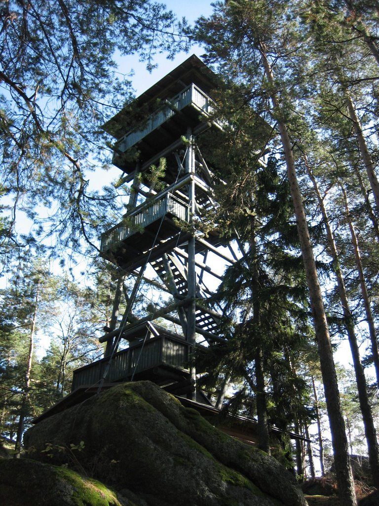 Wooden tower in the forest with several platforms and stairs.