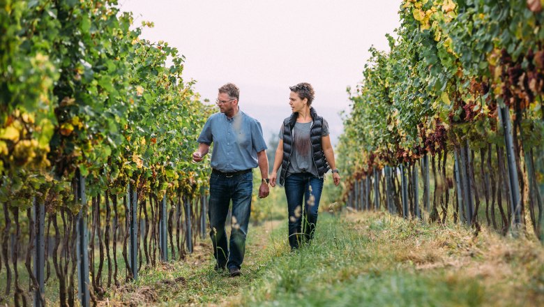 Two people walk through a vineyard.