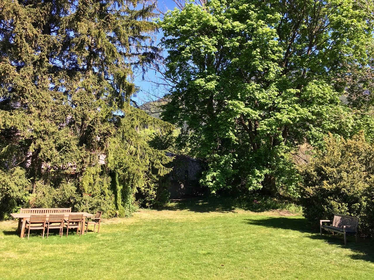 A green garden with a wooden table and chairs under large trees.