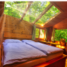 A cozy bedroom with wooden walls and a glass roof through which the sun's rays shine. A bed stands in the room, surrounded by green nature.