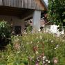 Flowerbed with pink and white blossoms in the inner courtyard, surrounded by buildings with wooden roofs.