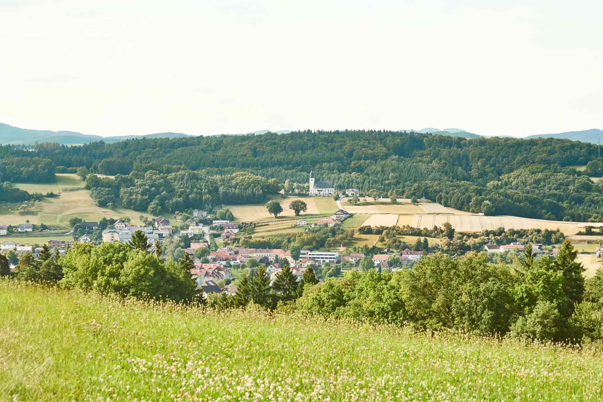 Panoramic view of Leiben with green fields and forests in the background.