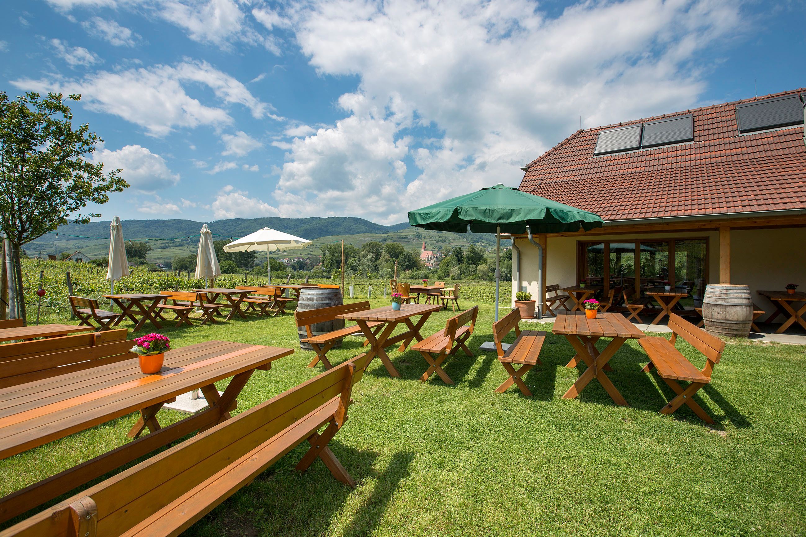 Heurigen benches on the green meadow