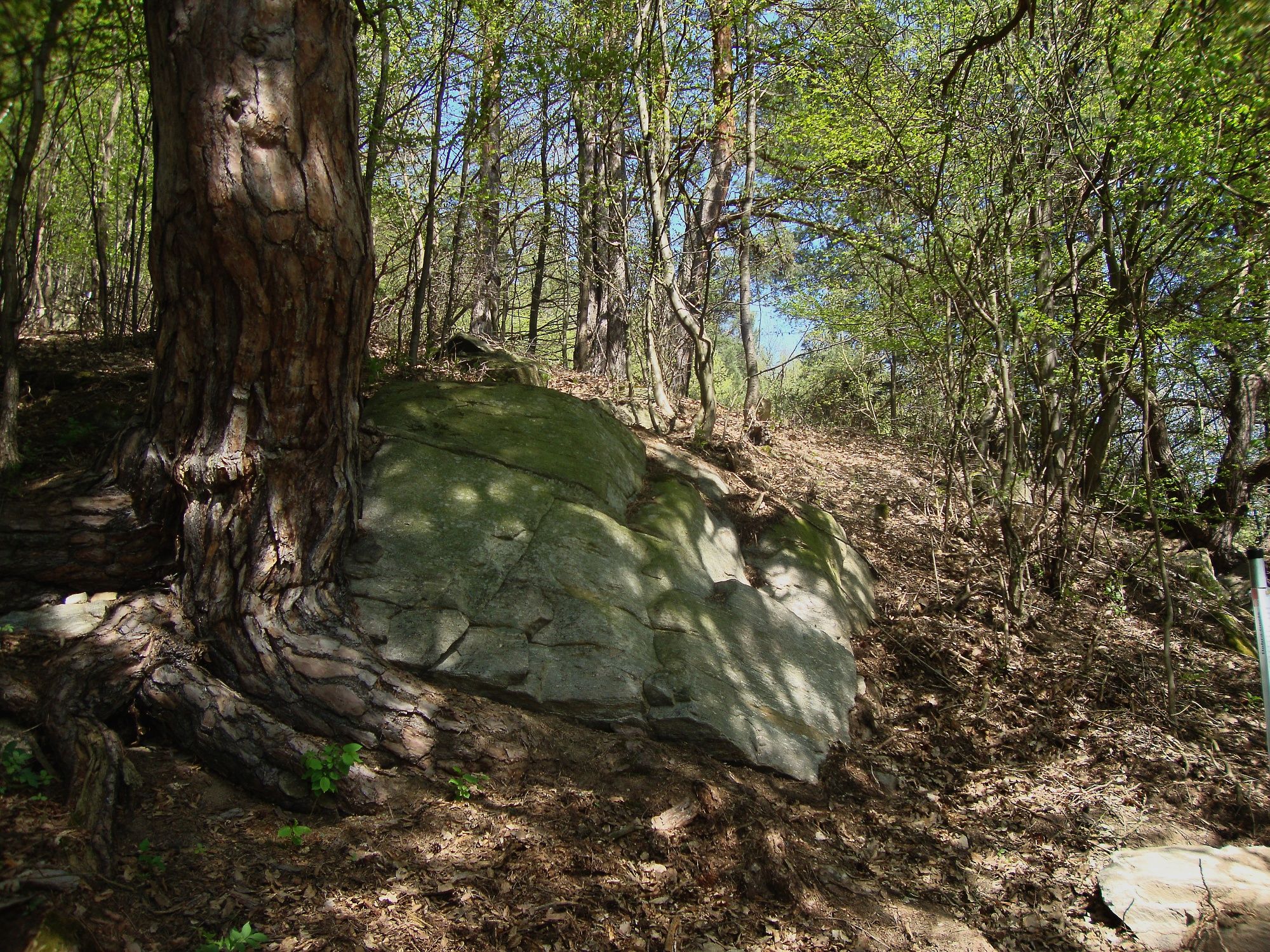 Methuselah stone