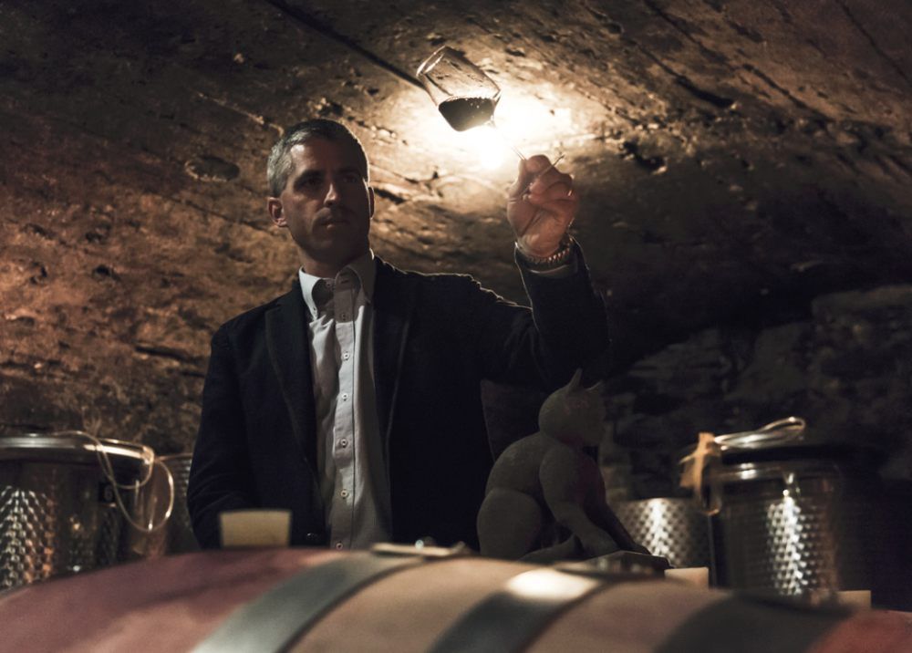 Person in the wine cellar holds a glass of wine against the light.