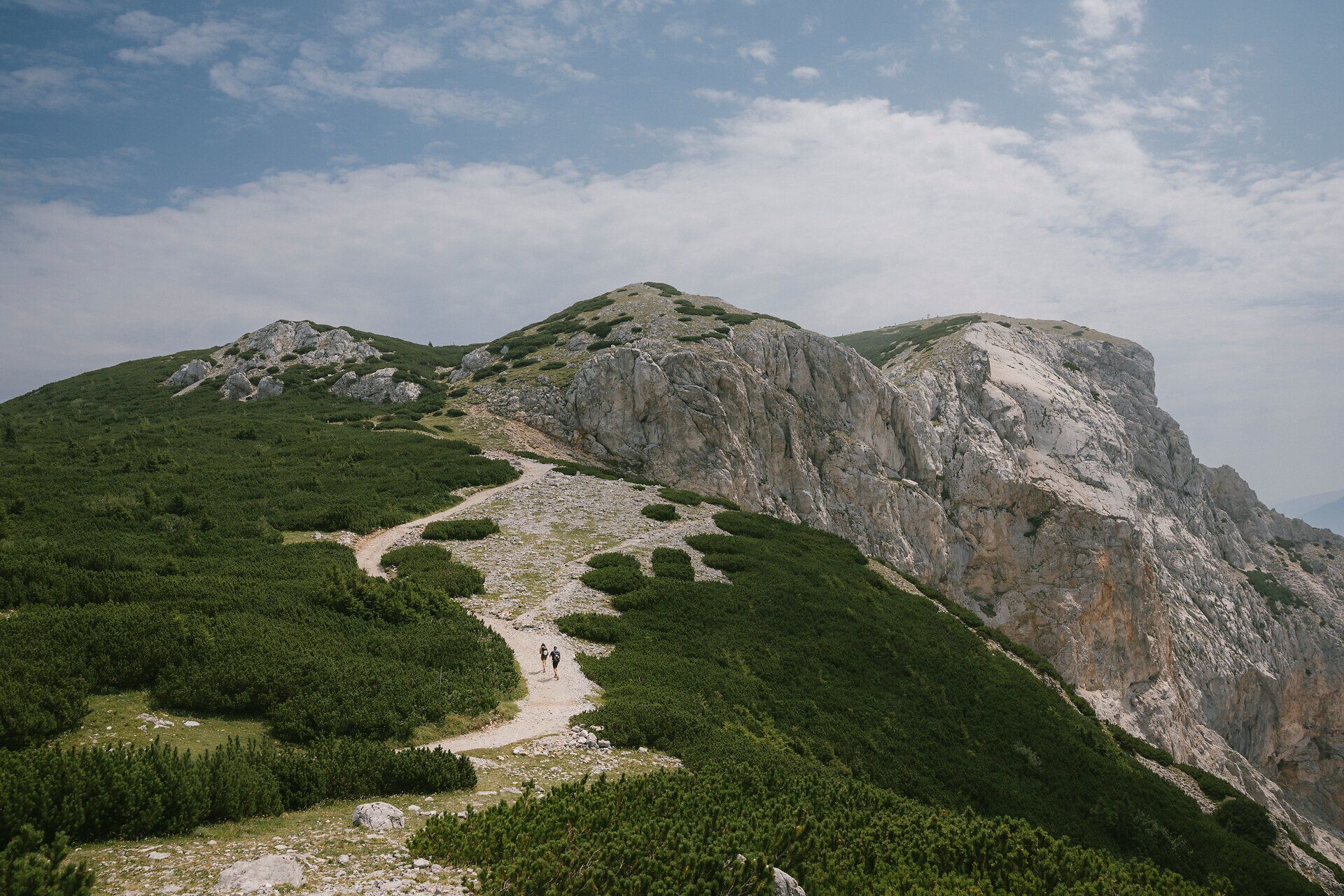 Hiking trail through mountain pines to the rocky peaks of the Rax