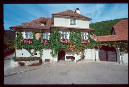Traditional building decorated with vines and flowers.