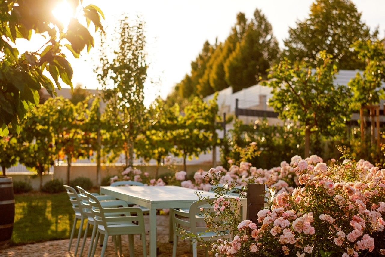 A garden with a table and chairs, surrounded by blooming roses and trees in the sunlight.
