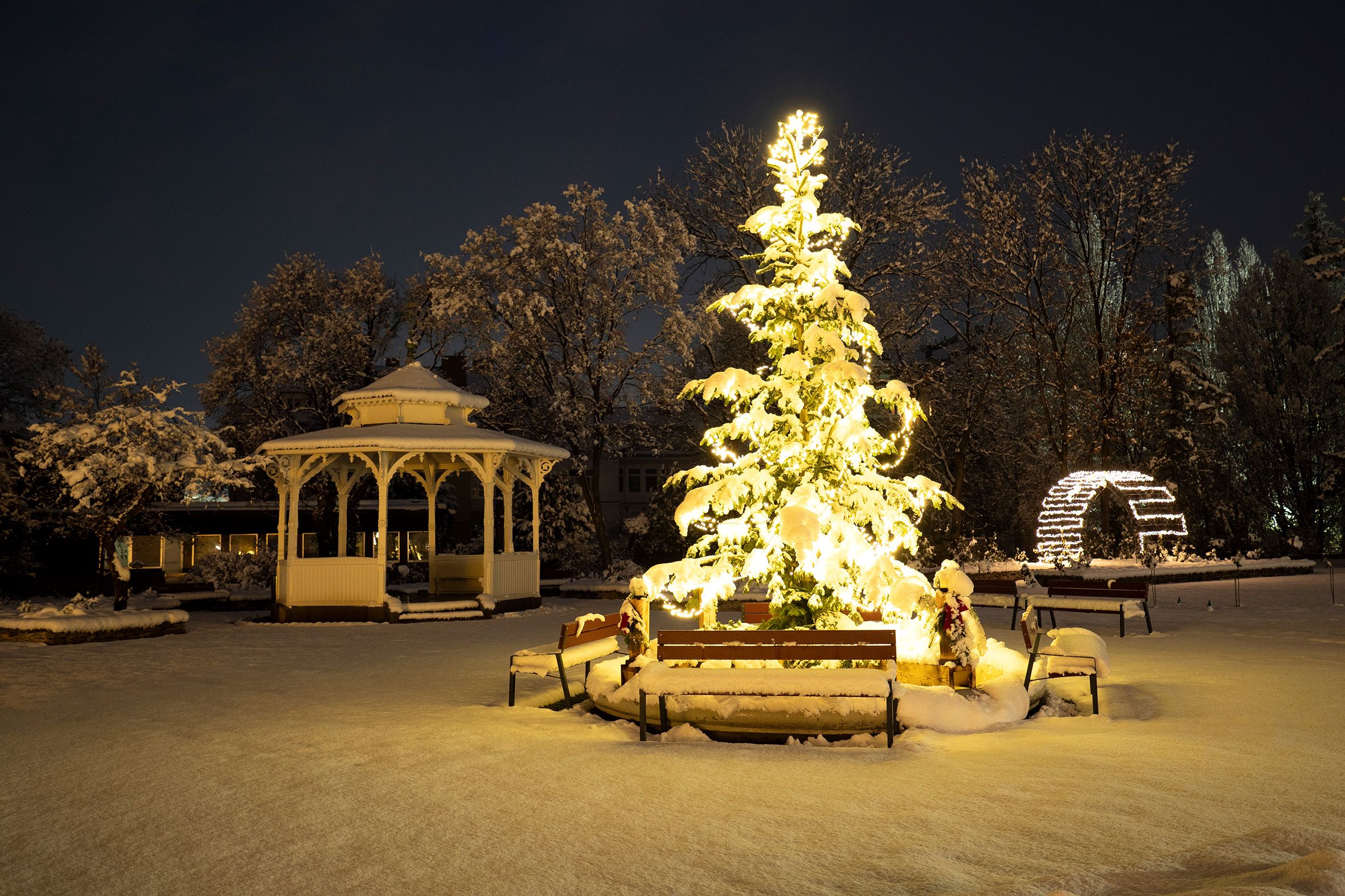 Snow-covered tree and pavilion in the city park