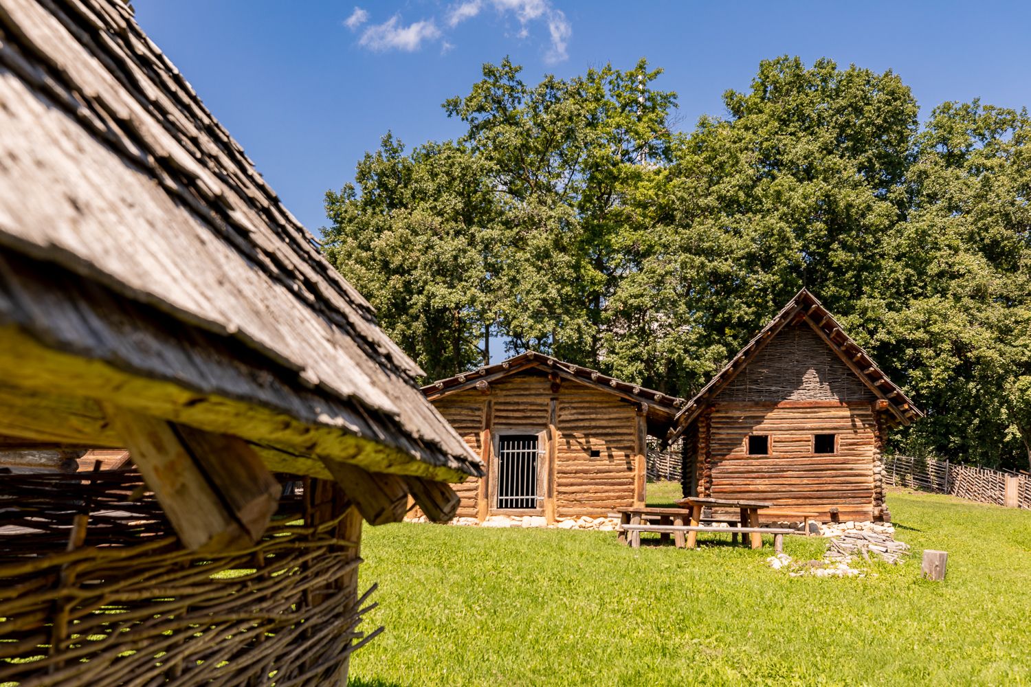 Reconstruction of a Celtic village with wooden huts and a green lawn surrounded by trees.