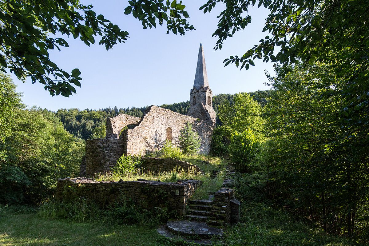 Ruins of an old church with a tower surrounded by trees.