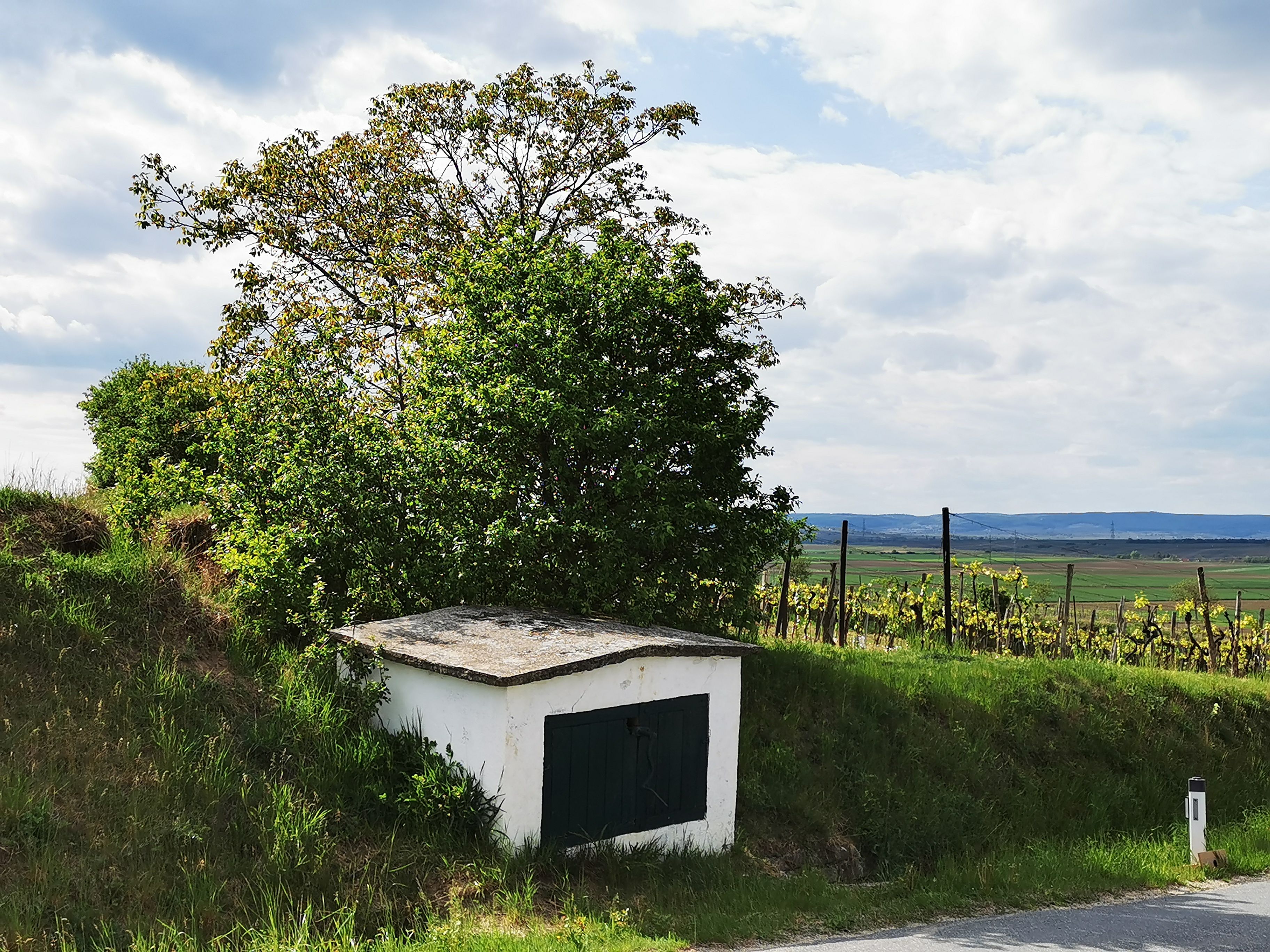 Small white building with a green gate in a rural landscape, surrounded by trees and vines.