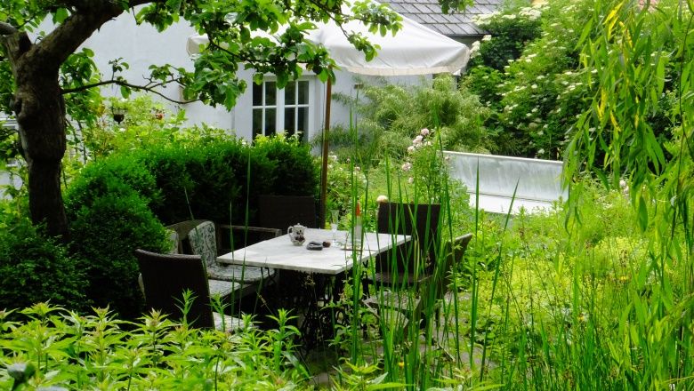 An idyllic garden with a table and chairs, surrounded by lush greenery and a tree.