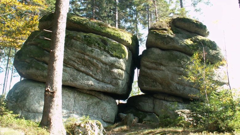 Two large, moss-covered rocks in the forest.