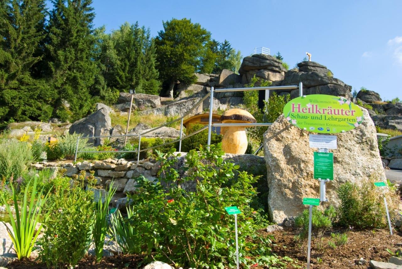 Medicinal herb garden with plants and rocks in Bad Traunstein.